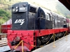 locomotiva-g8.jpg